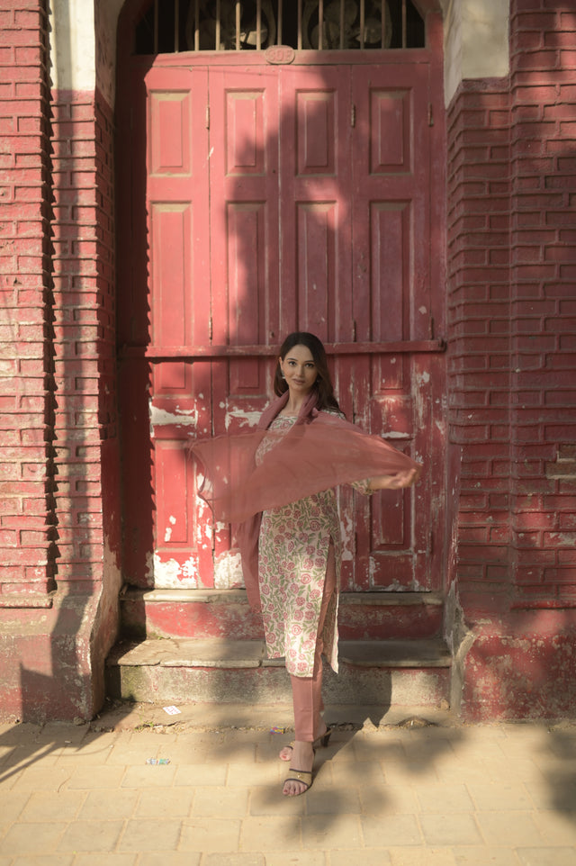 Amrita Fiza Suit Set