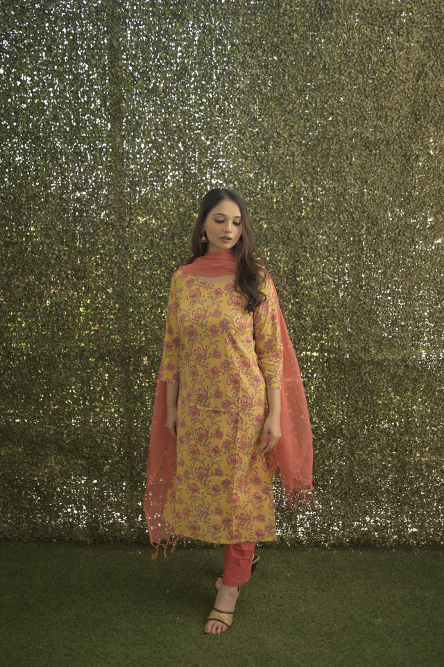 Amrita Zara Suit Set