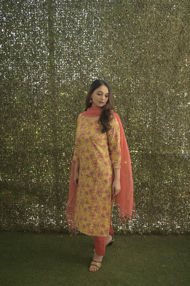 Amrita Zara Suit Set