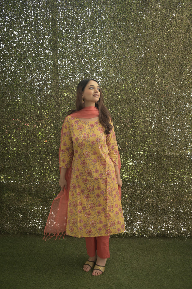 Amrita Zara Suit Set