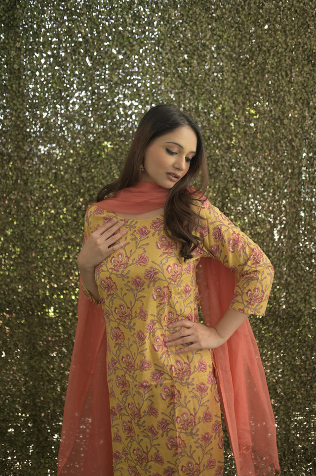 Amrita Zara Suit Set