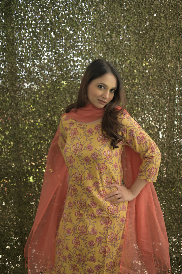 Amrita Zara Suit Set