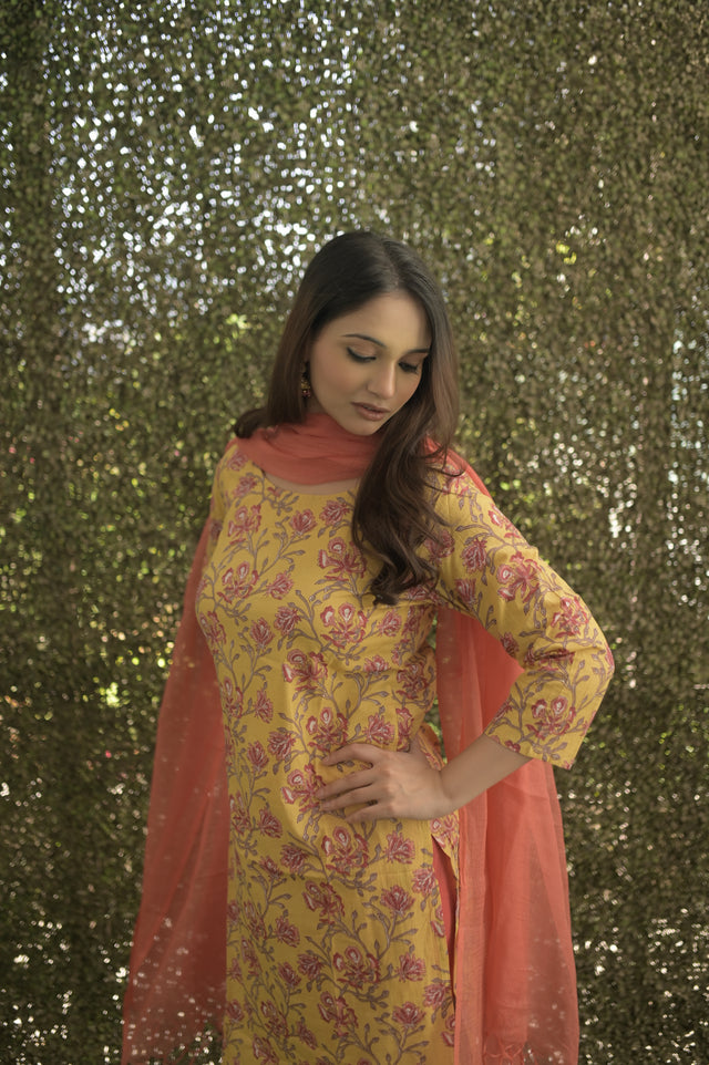 Amrita Zara Suit Set