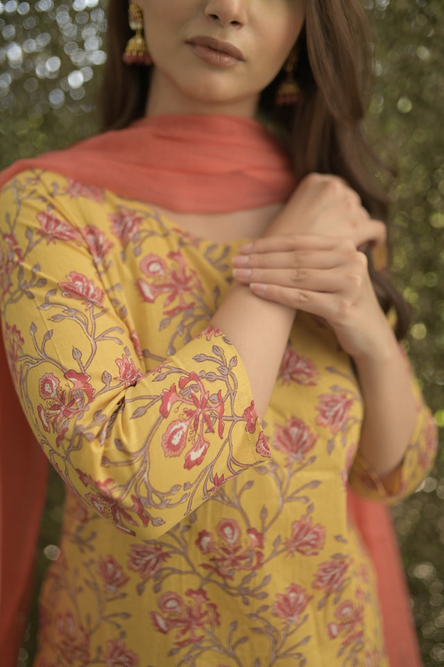 Amrita Zara Suit Set