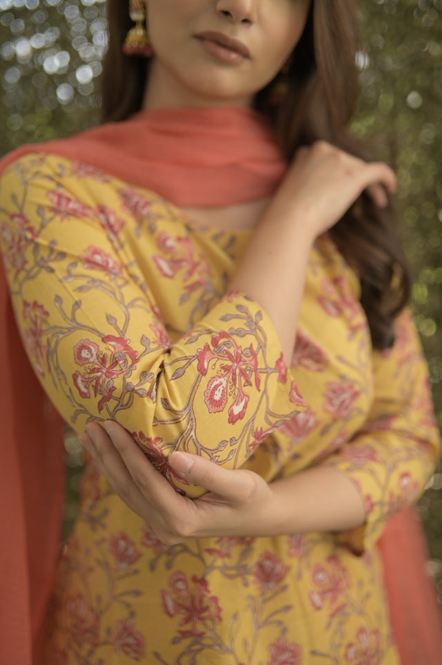 Amrita Zara Suit Set