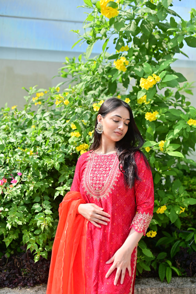 Red Embroidered Sharara Set