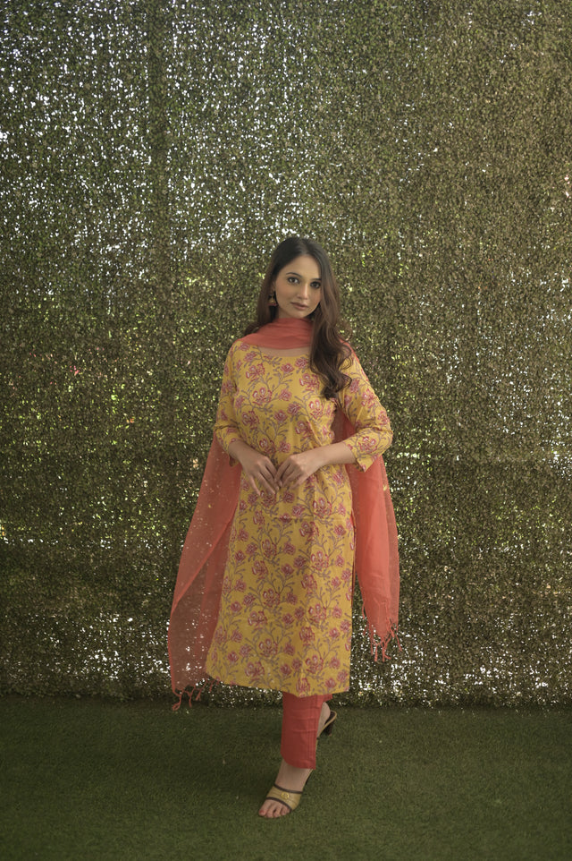 Amrita Zara Suit Set
