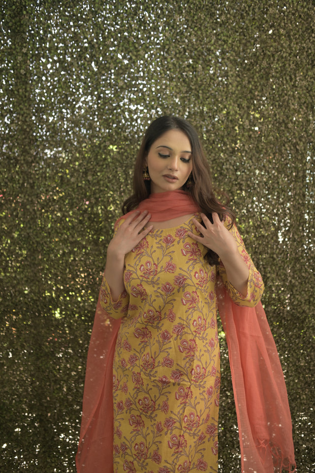 Amrita Zara Suit Set